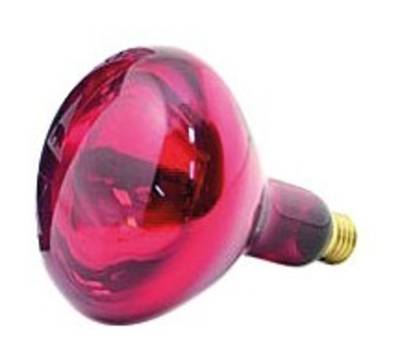 IR Ampoule à vis rouge 60W (uniquement commandable avec un autre article)