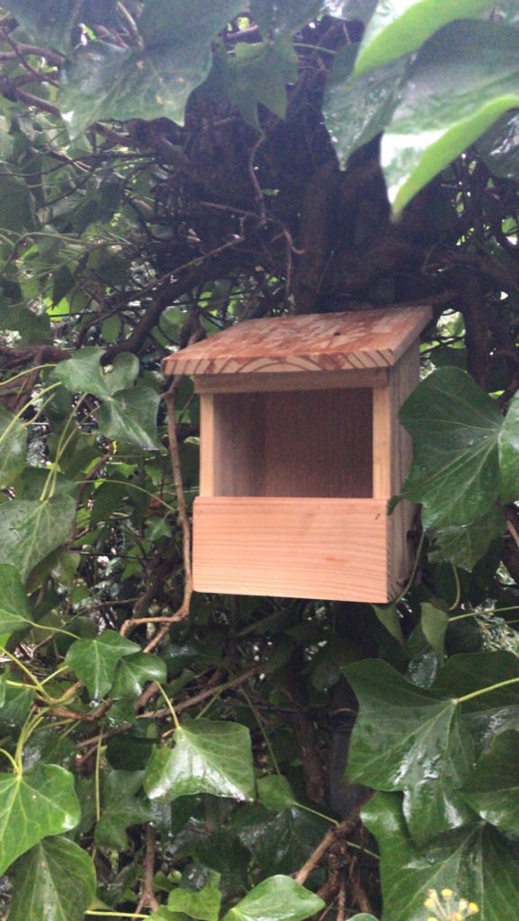 Le et son nichoir Animaux du Jardin
