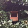 Halboffenes Vogelhaus für Rotkehlchen