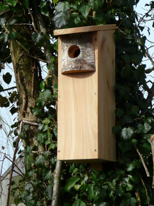 WPB Woodpecker Nestbox 1