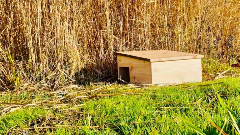 Moorland Abris Pour Hérissons En Bois FSC 40×34 Cm – Maison Herisson Extérieur Résistant & Isolé – Modèle IH1 - Animalerie