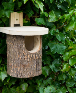 En bois naturel fait à la main Nichoir et nestbox-ONU peint-Non toxique-Bird Bo 